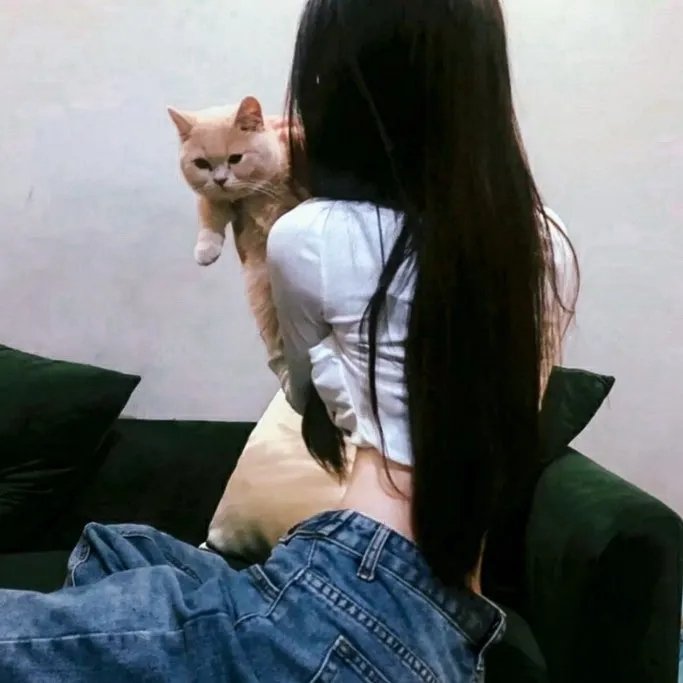 暂缓逮捕
